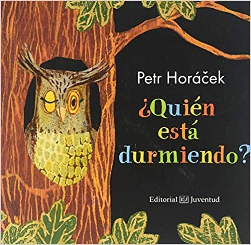 ¿Quién está durmiendo? | PETR HORACEK