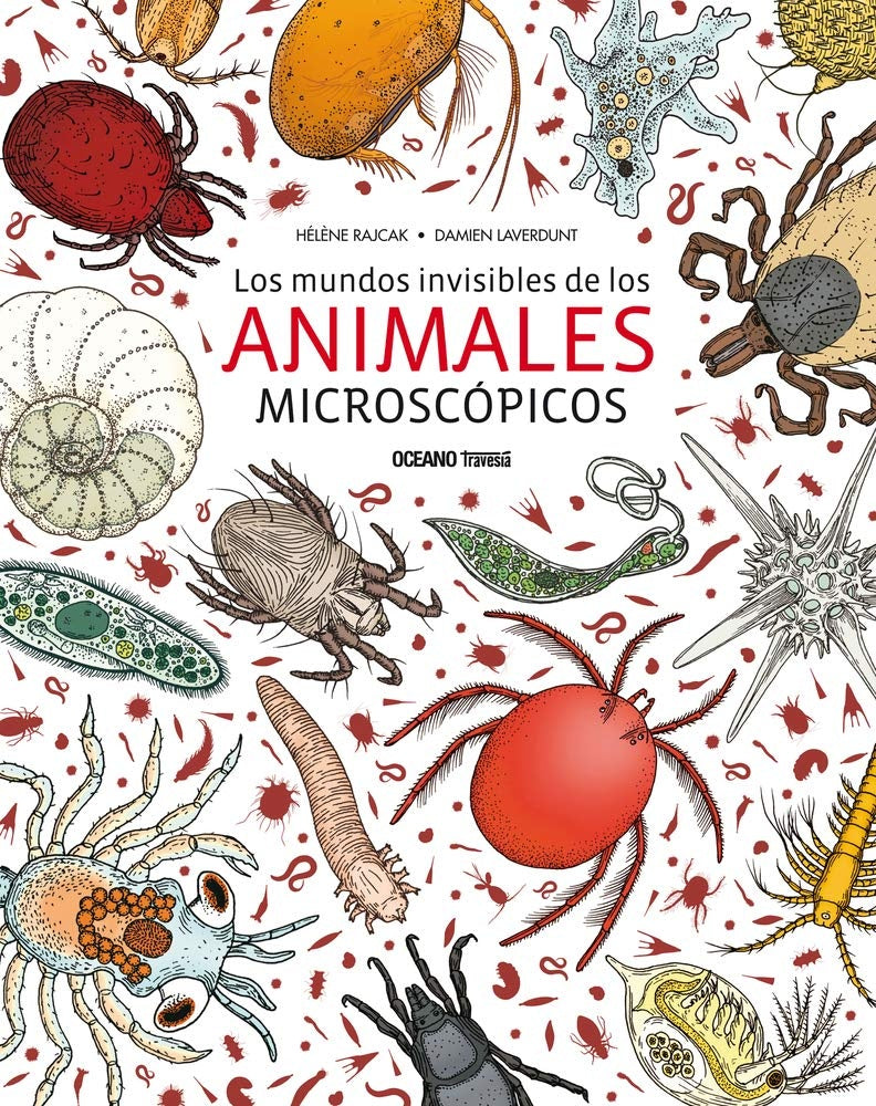 Los mundos invisibles de los animales microscópicos
| Hélène Rajcak