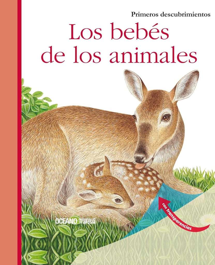 Los bebés de los animales. Primeros descubrimientos | Varios autores