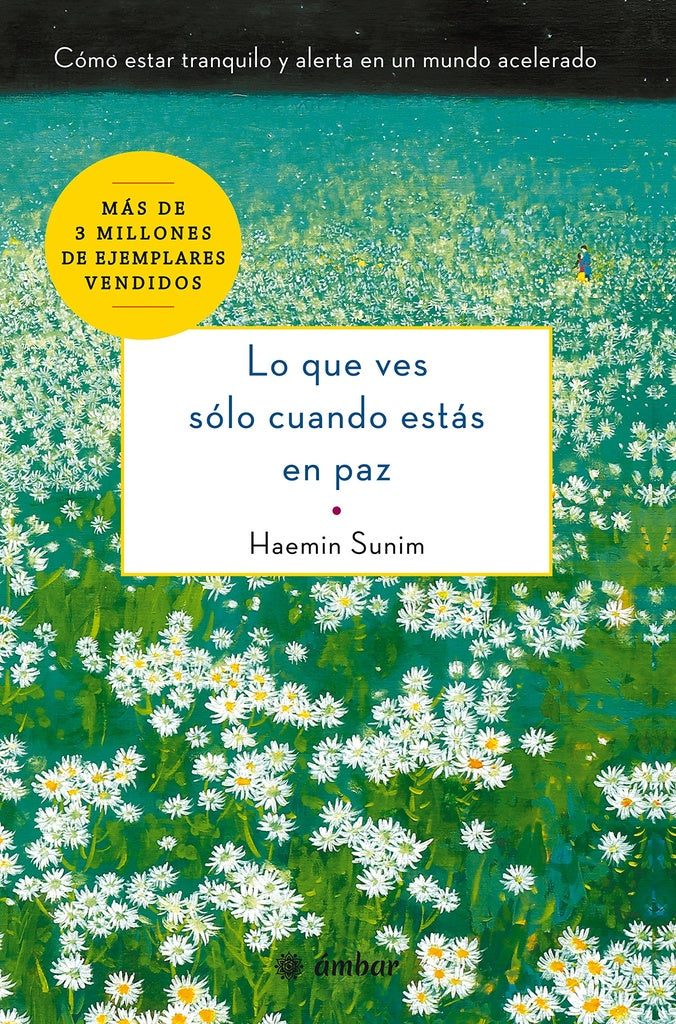Lo que ves sólo cuando estás en paz | Haemin Sunim