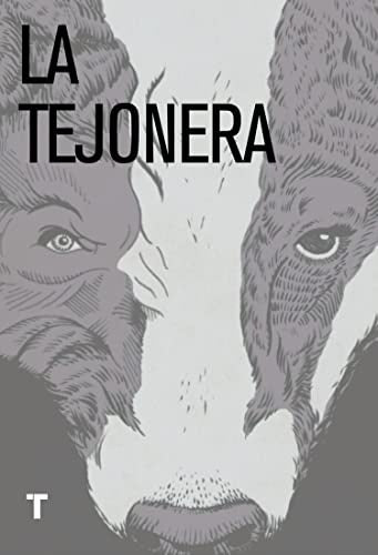 La Tejonera | CYNAN JONES