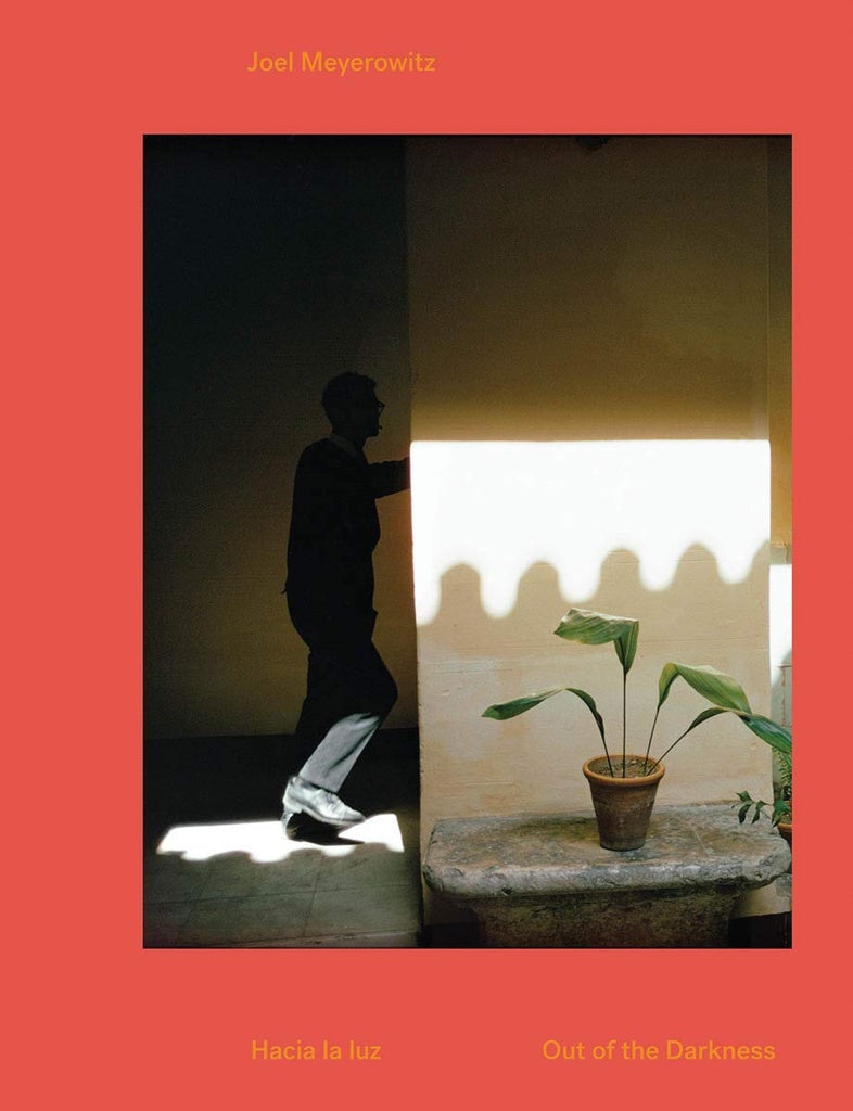 Joel Meyerowitz: Out of the Darkness | JOEL MEYEROWITZ