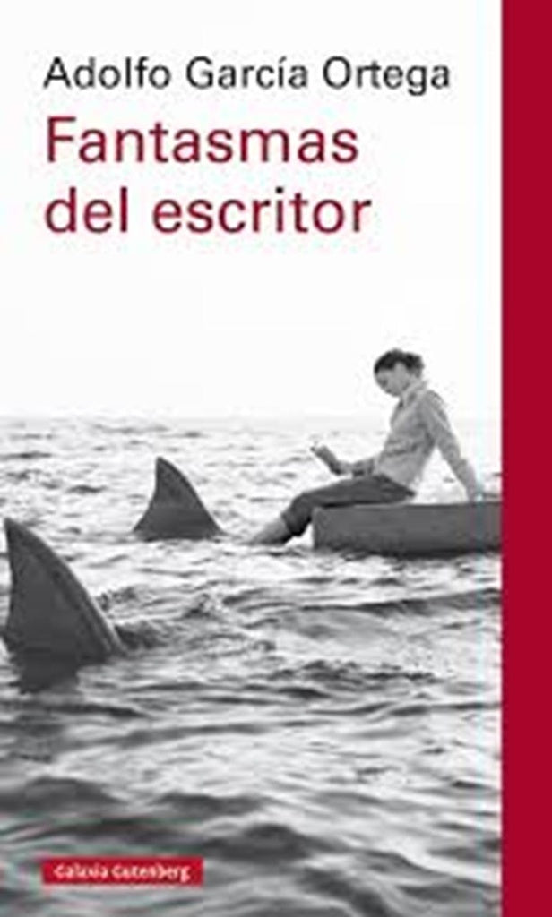 Fantasmas del escritor | ADOLFO GARCIA