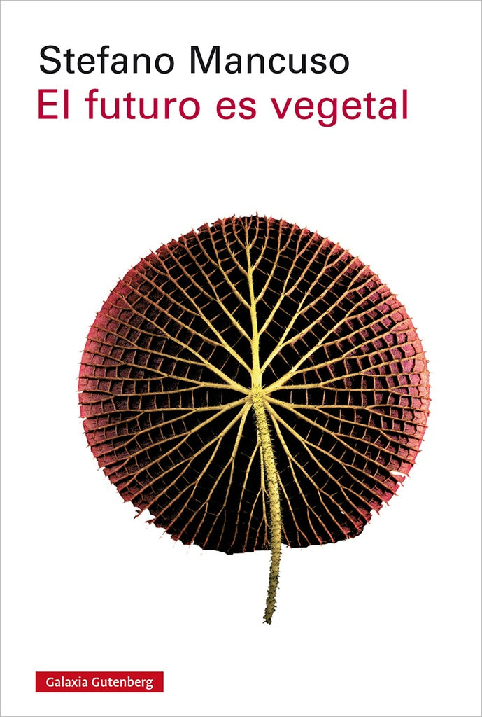 El futuro es vegetal | Stefano Mancuso