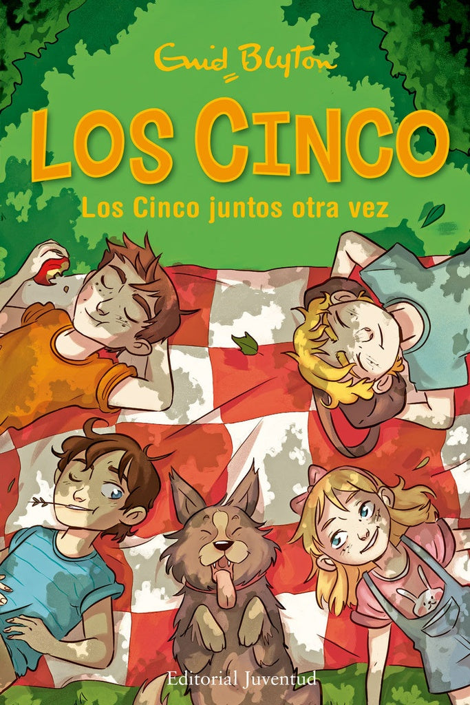 Los Cinco juntos otra vez
. Los Cinco 21 | ENID BLYTON