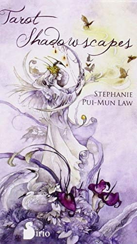 Tarot Shadowscapes | STEPHANIE PUI-MUN LAW