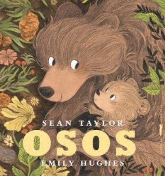 Osos | TAYLOR - HUGHES