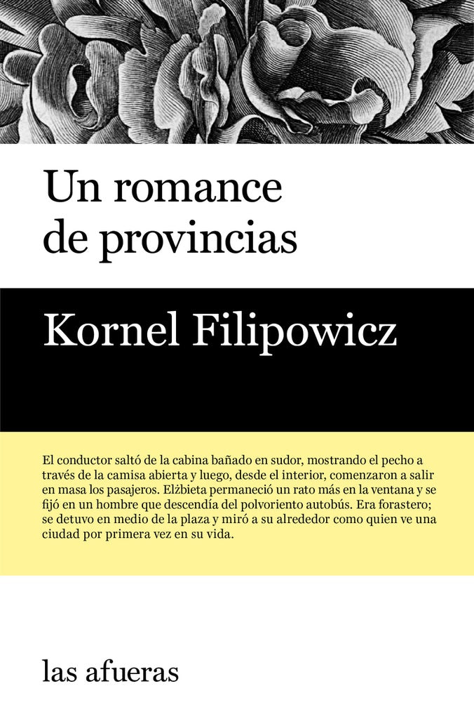 Un romance de provincias | KORNEL FILIPOWICZ