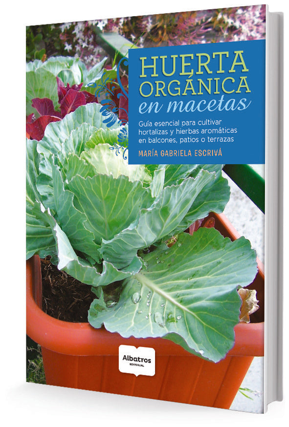 Huerta orgánica en macetas | MARIA GABRIELA ESCRIVA