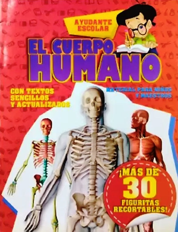 El cuerpo humano. Ayudante escolar
| Varios autores