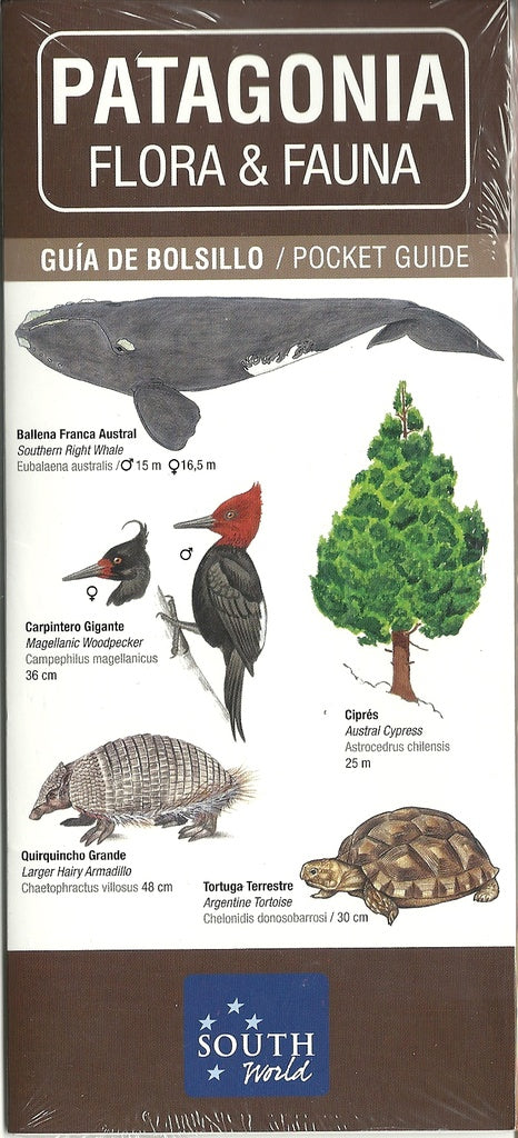 Patagonia flora y fauna | Gerardo Teo, Diego Florio, Marcelo Beccaceci