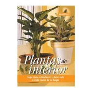 Plantas de interior | Pilar Moreno