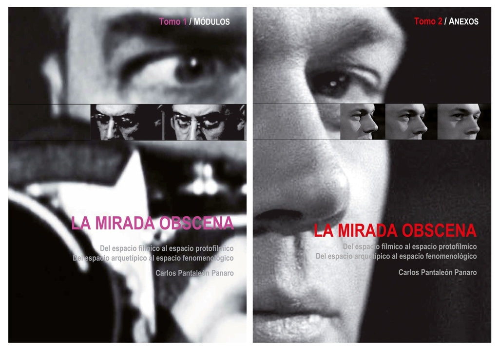 La mirada obscena: del espacio fílmico al espacio protofílmico (2 tomos) | CARLOS PANTALEON PANARO