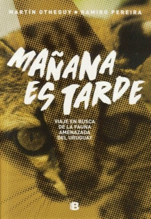Mañana es tarde | Pereira, Otheguy