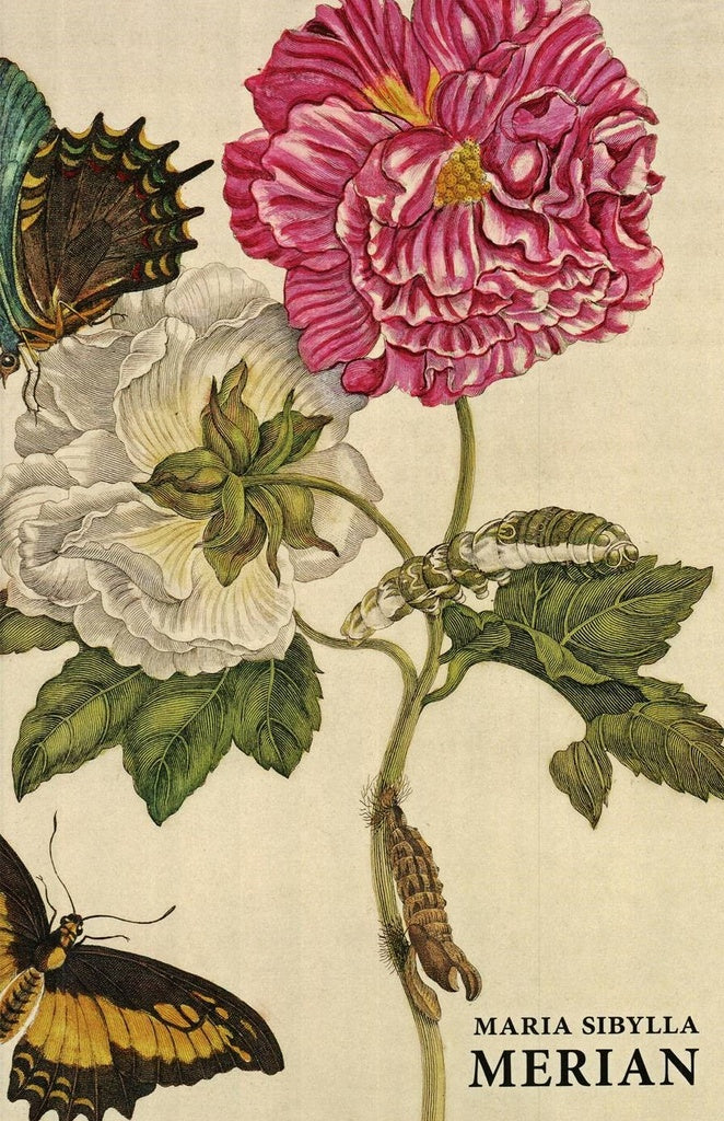 MARIA SIBYLLA MERIAN | SIN ASIGNAR