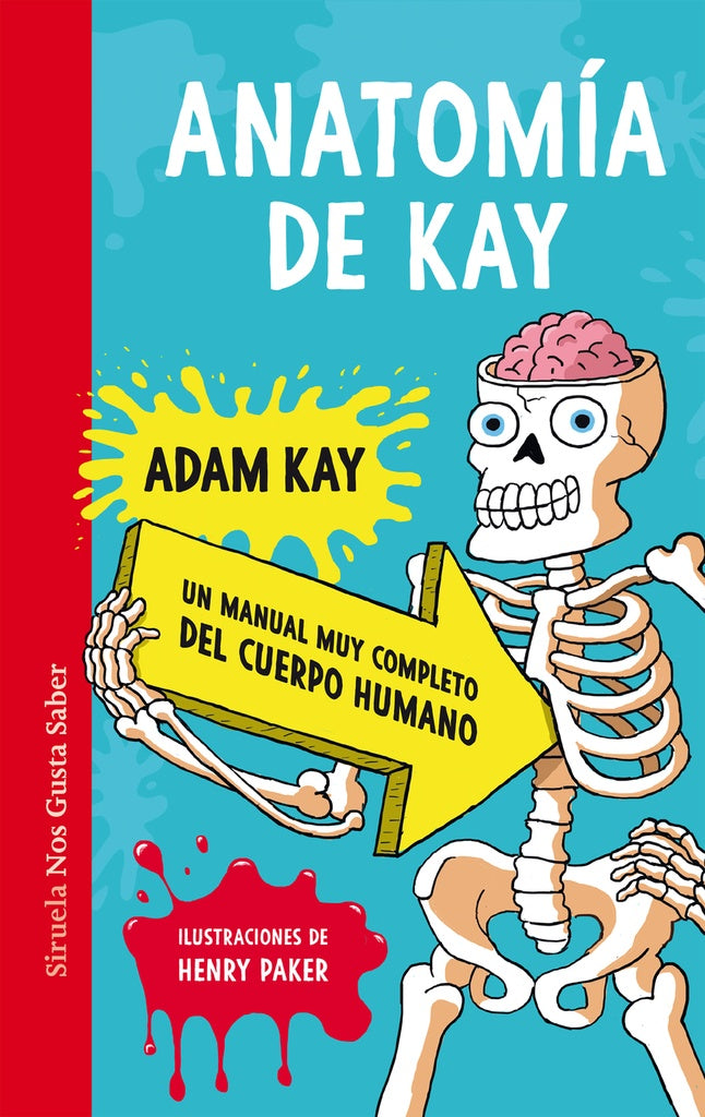Anatomía de Kay | ADAM KAY