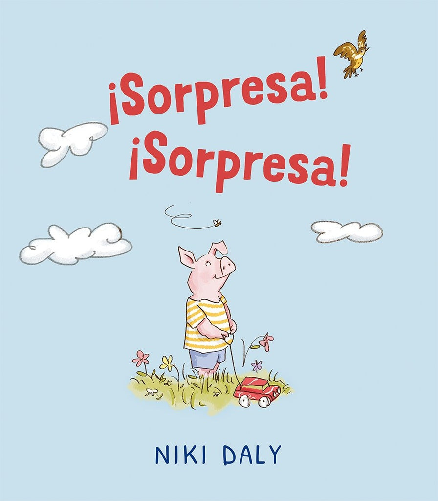 SORPRESA SORPESA | NIKI DALY