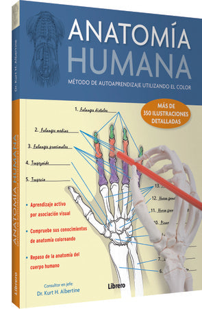 Anatomía humana | KURT ALBERTINE