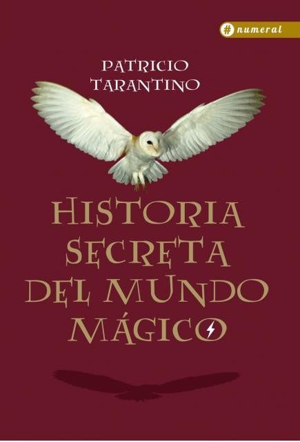 Historia secreta del mundo mágico | Patricio Tarantino