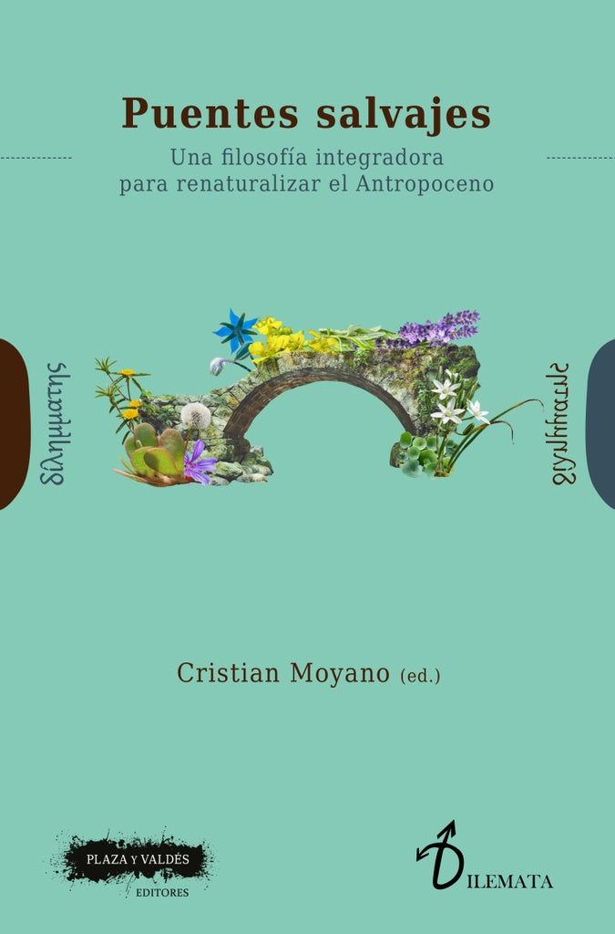 Puentes salvajes | CRISTIANO MOYANO