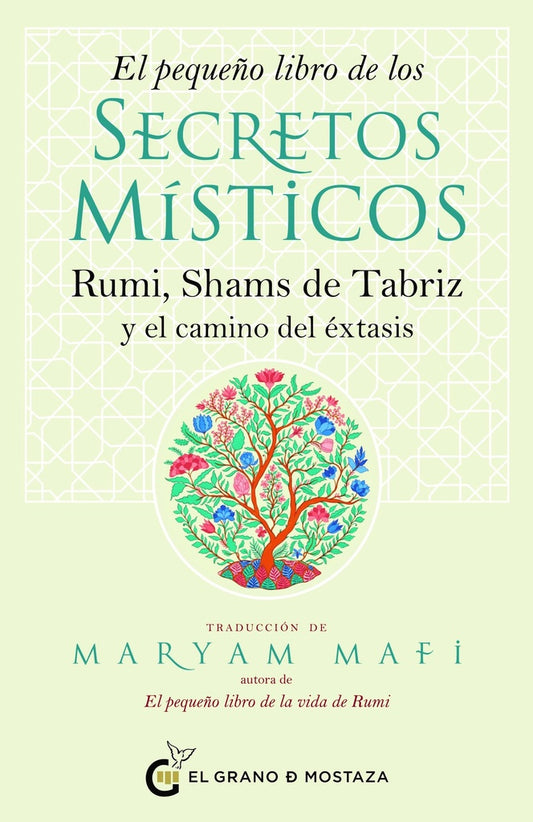El pequeño libro de los secretos místicos | Maryam Mafi