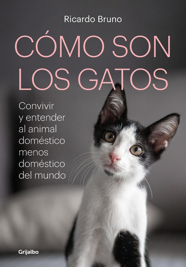 Cómo son los gatos | Ricardo Bruno