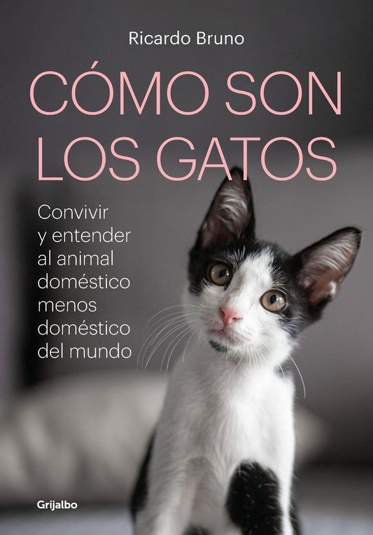 Cómo son los gatos | Ricardo Bruno