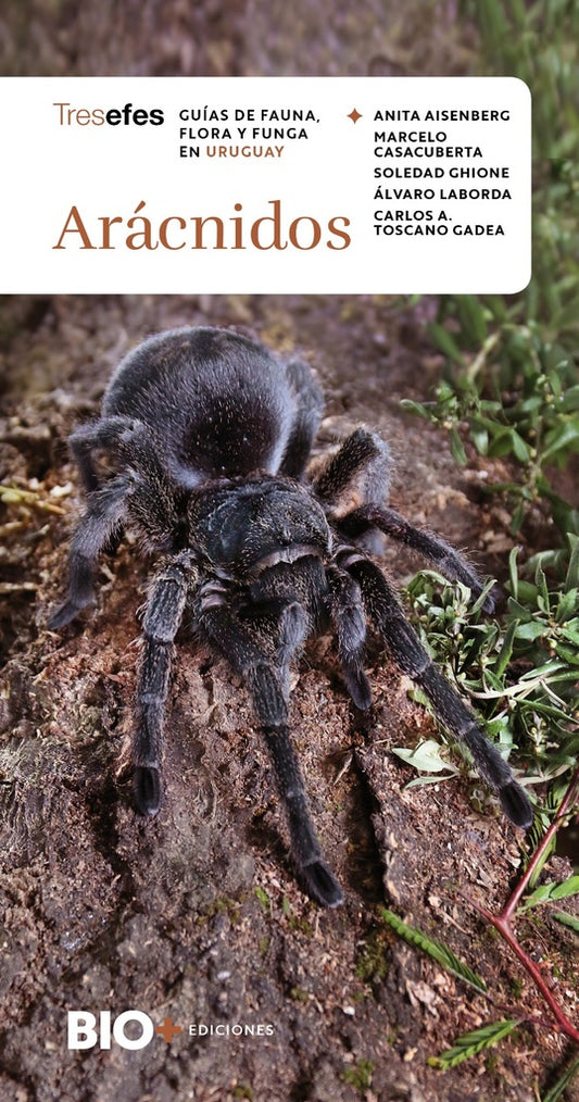 Arácnidos (Colección Tresefes) | Varios autores