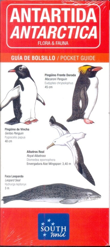 ANTARTIDA. FLORA Y FAUNA | MARCELO BECCACECI