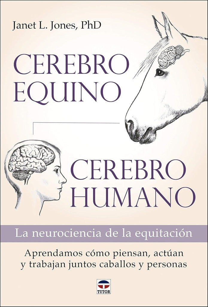 Cerebro equino - Cerebro humano | Janet L. Jones