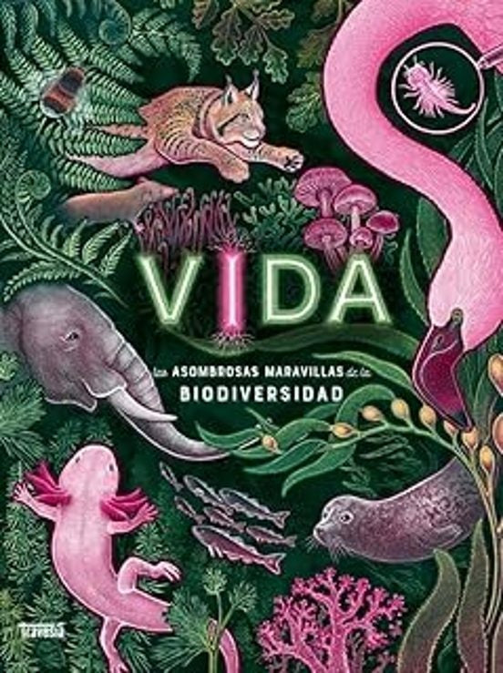 VIDA | SIN ASIGNAR