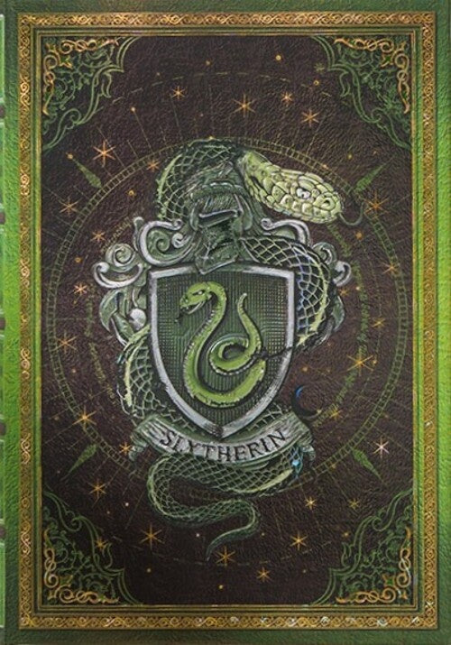 DIARIO SLYTHERIN MIDI RENGLONES | Lu¡s M.: AA.VV. Barbosa