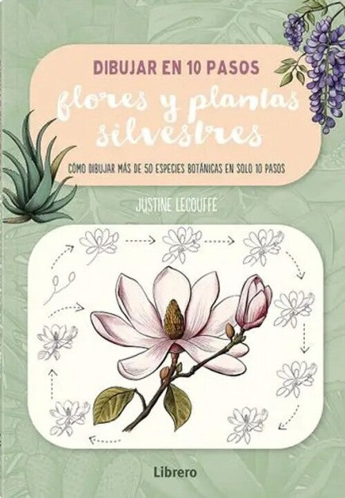 DIBUJAR FLORES Y PLANTAS SILVESTRES EN 10 PASOS | JUSTINE LECOUFFE