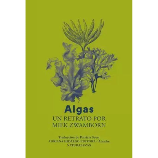ALGAS | MIEK ZWAMBORN