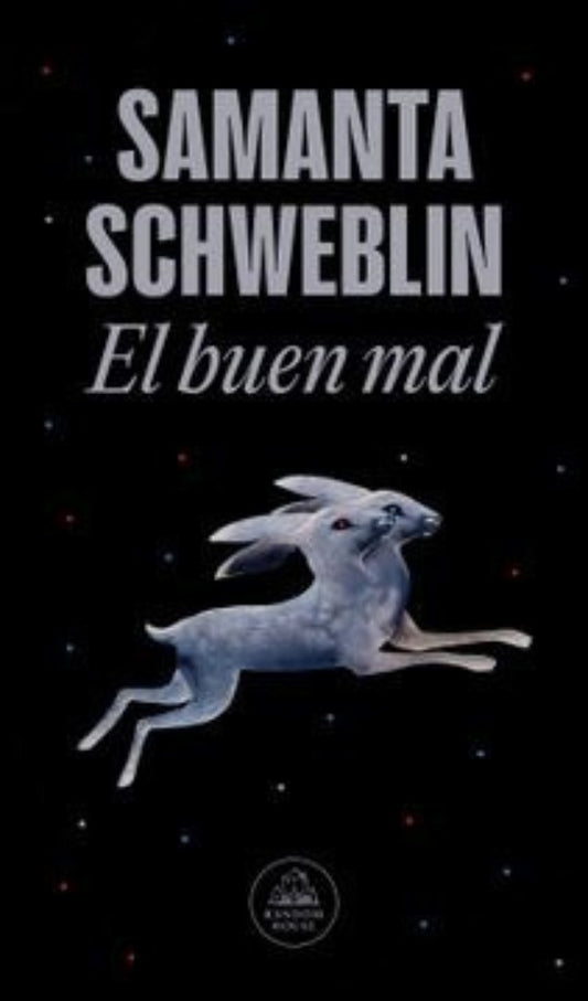 El buen mal | SAMANTA SCHWEBLIN