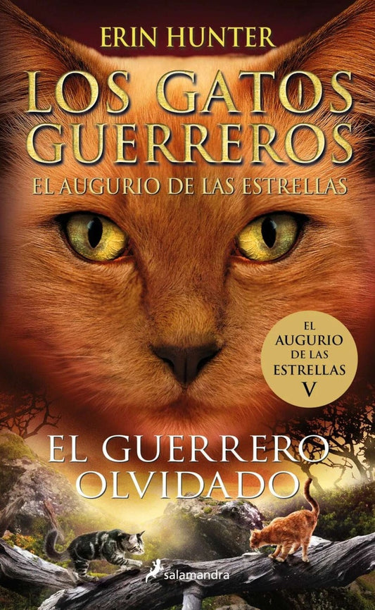 Los Gatos Guerreros. El guerrero olvidado (El augurio de las estrellas 5) | Erin Hunter