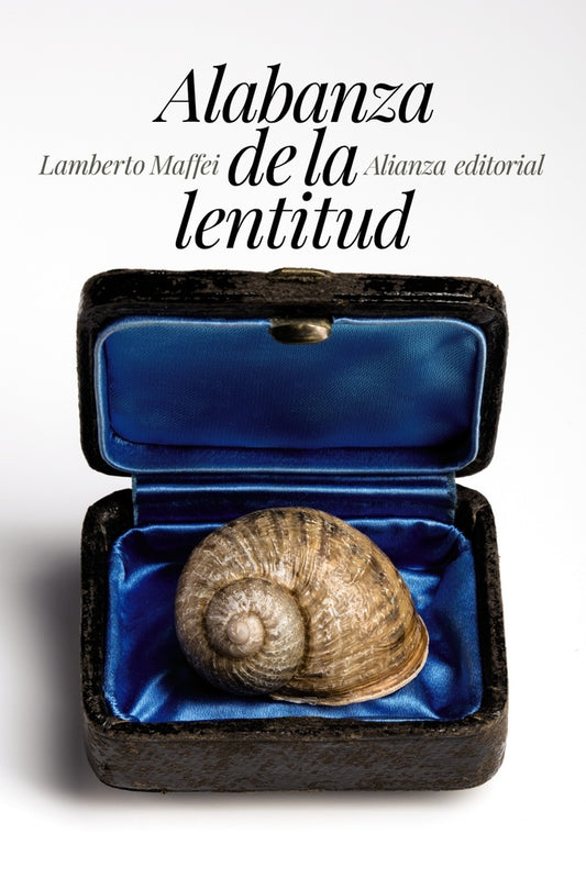 ALABANZA DE LA LENTITUD | LAMBERTO MAFFEI