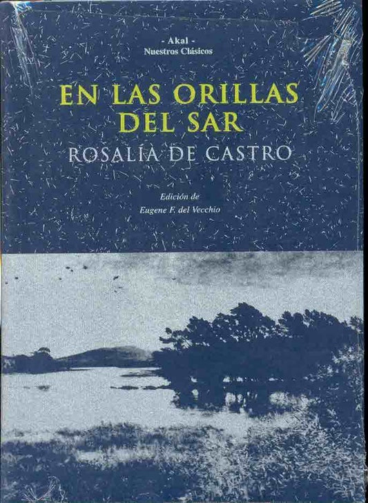 EN LAS ORILLAS DEL SAR | CASTROROSALIA