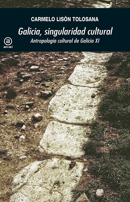 GALICIA SINGULARIDAD CULTURAL | LISON TOLOSANACARMELO