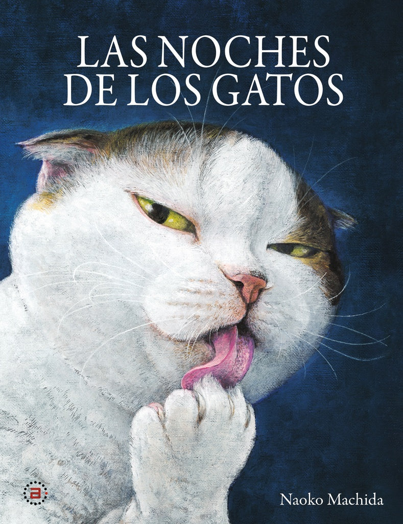 LAS NOCHES DE LOS GATOS | MACHIDANAOKO