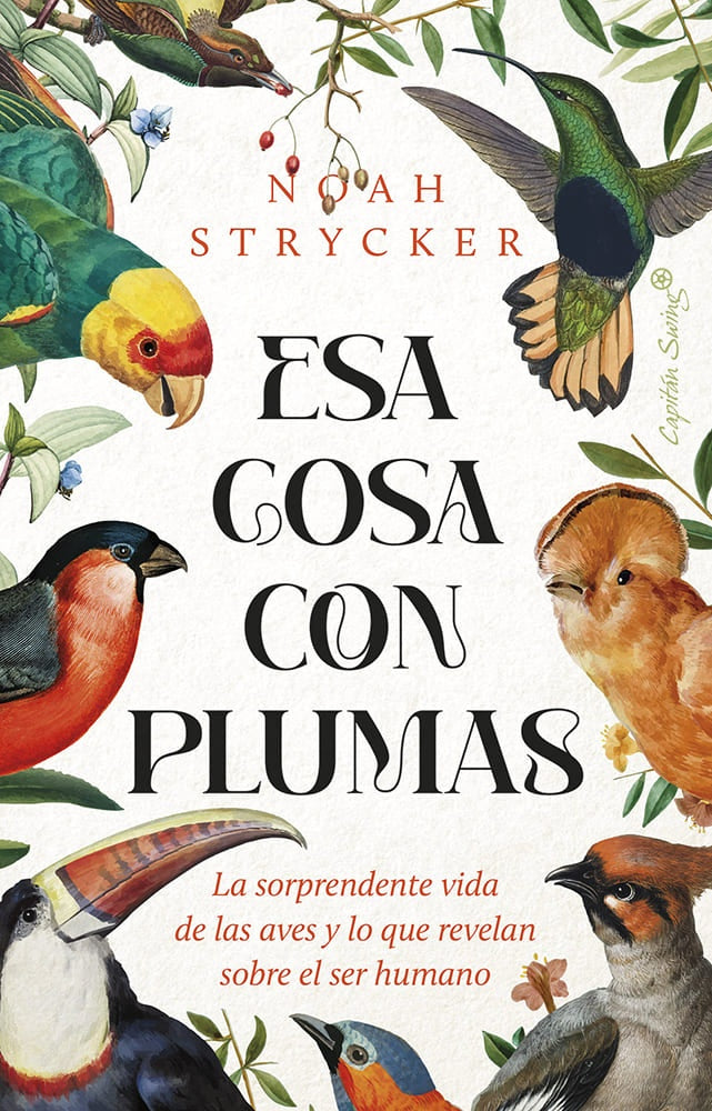 ESA COSA CON PLUMAS | NOAH STRYCKER