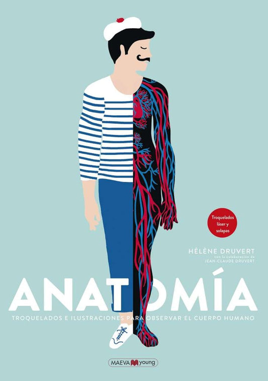 ANATOMIA | DRUVERT HELÔNE