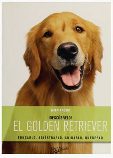 GOLDEN RETRIEVER, EL. DESCUBRELO