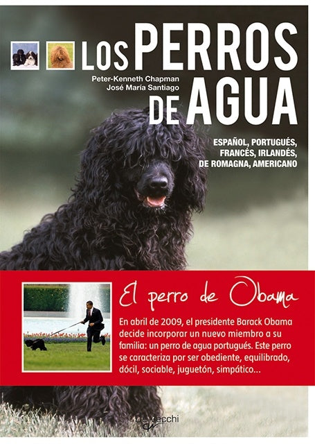 PERROS DE AGUA, LOS