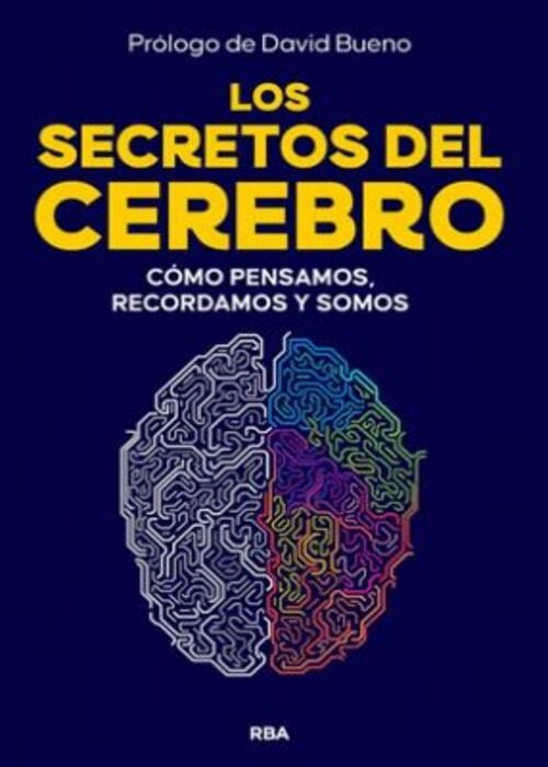 LOS SECRETOS DEL CEREBRO