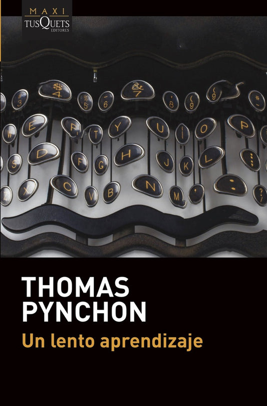 UN LENTO APRENDIZAJE | THOMAS PYNCHON