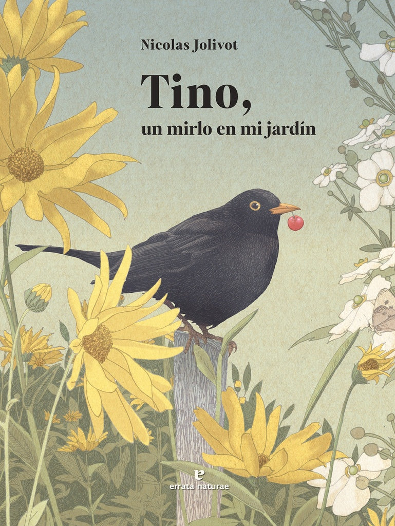 TINO, UN MIRLO EN MI JARDIN | NICOLAS JOLIVOT