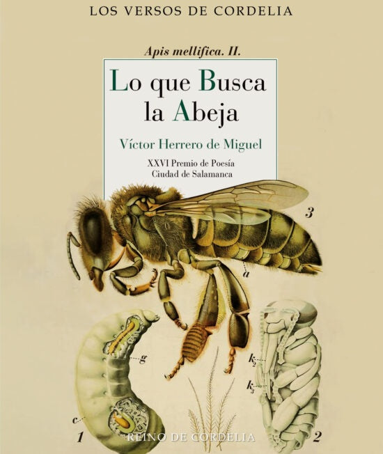 LO QUE BUSCA LA ABEJA | HERRERODE MIGUELVICTOR