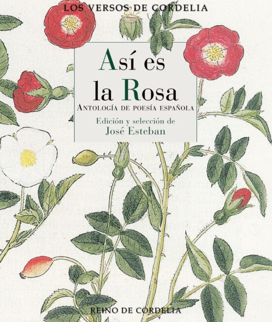 ASI ES LA ROSA | ESTEBAN JOSE
