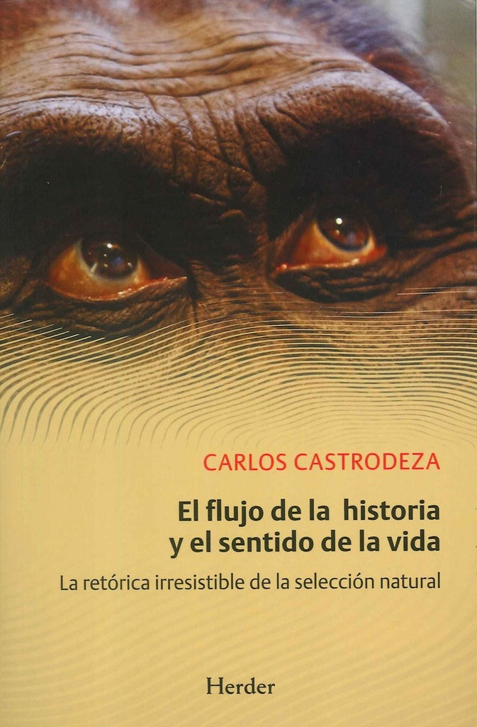 FLUJO DE LA HISTORIA Y EL SENTIDO DE LA VIDA,EL | CASTRODEZARUIZDELACUESTA CARLOS